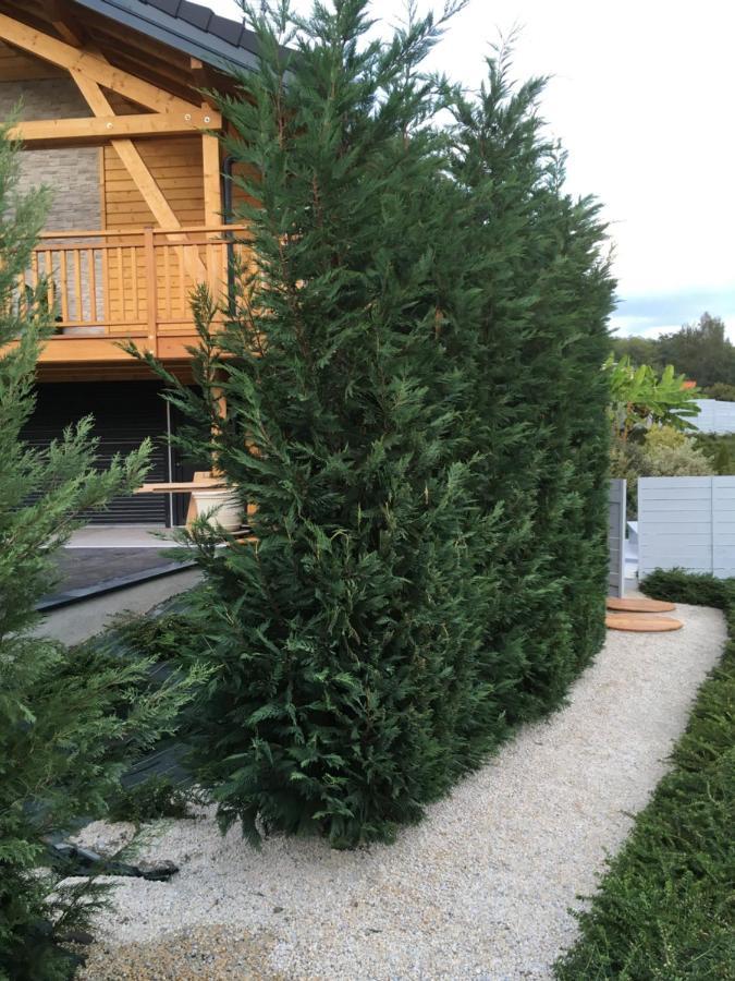 Chalet A La Campagne Coise-Saint-Jean-Pied-Gauthier 외부 사진